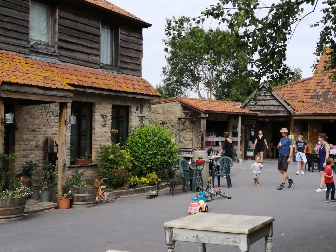 Het Kakelend Kippenmuseum景点图片