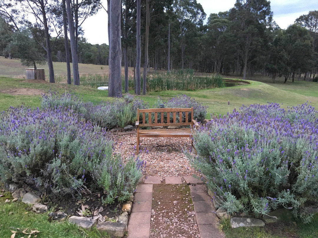 马丁尼马奇酒店主图
