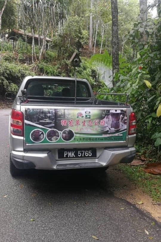 Monkey Cup-槟城岛必去景点