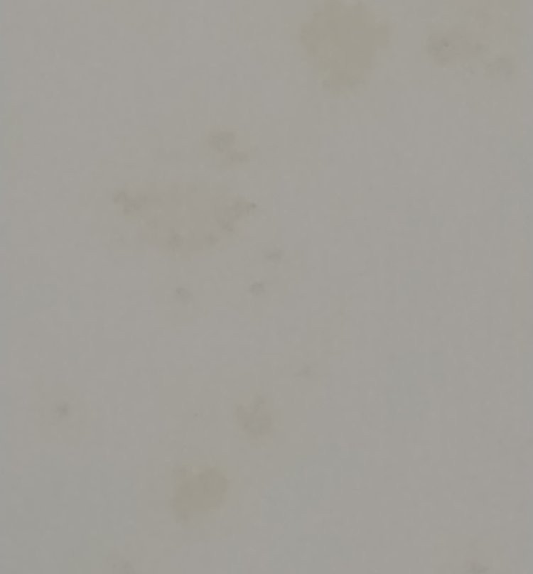 Albergo Villa Vittoria主图