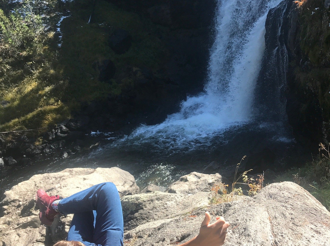 Moose Falls景点图片