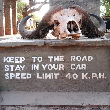 Elephant Rouge Safaris-瓦塔木必去景点