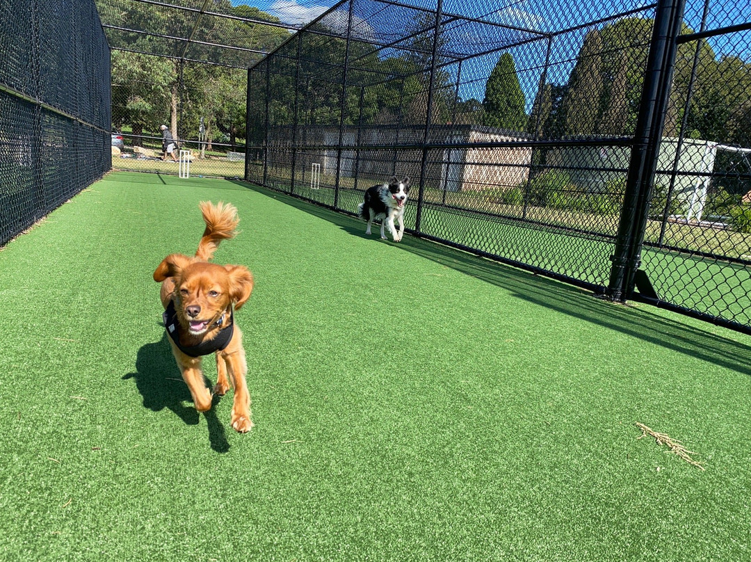 Callan Park-罗泽尔必去景点