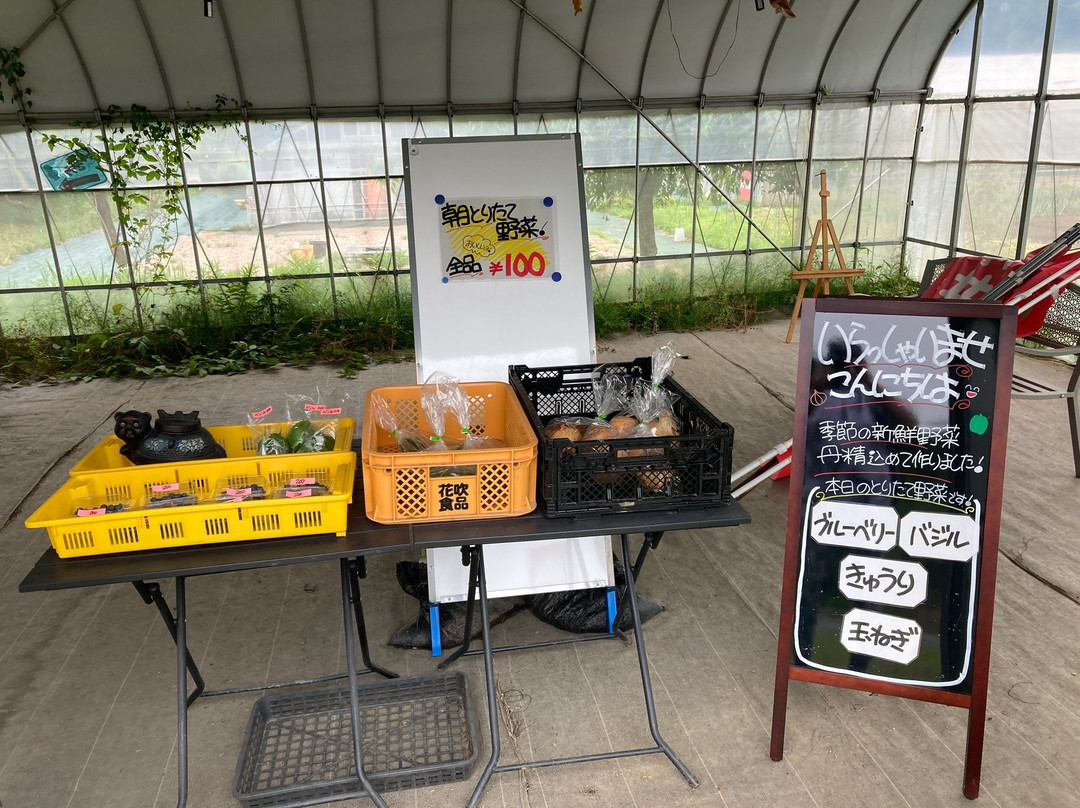 Kishii Farm-上尾市必去景点