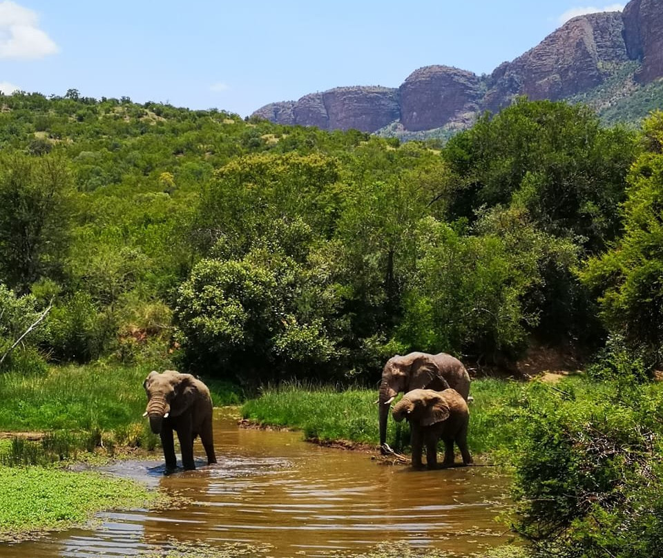 Marakele National Park-水堡必去景点