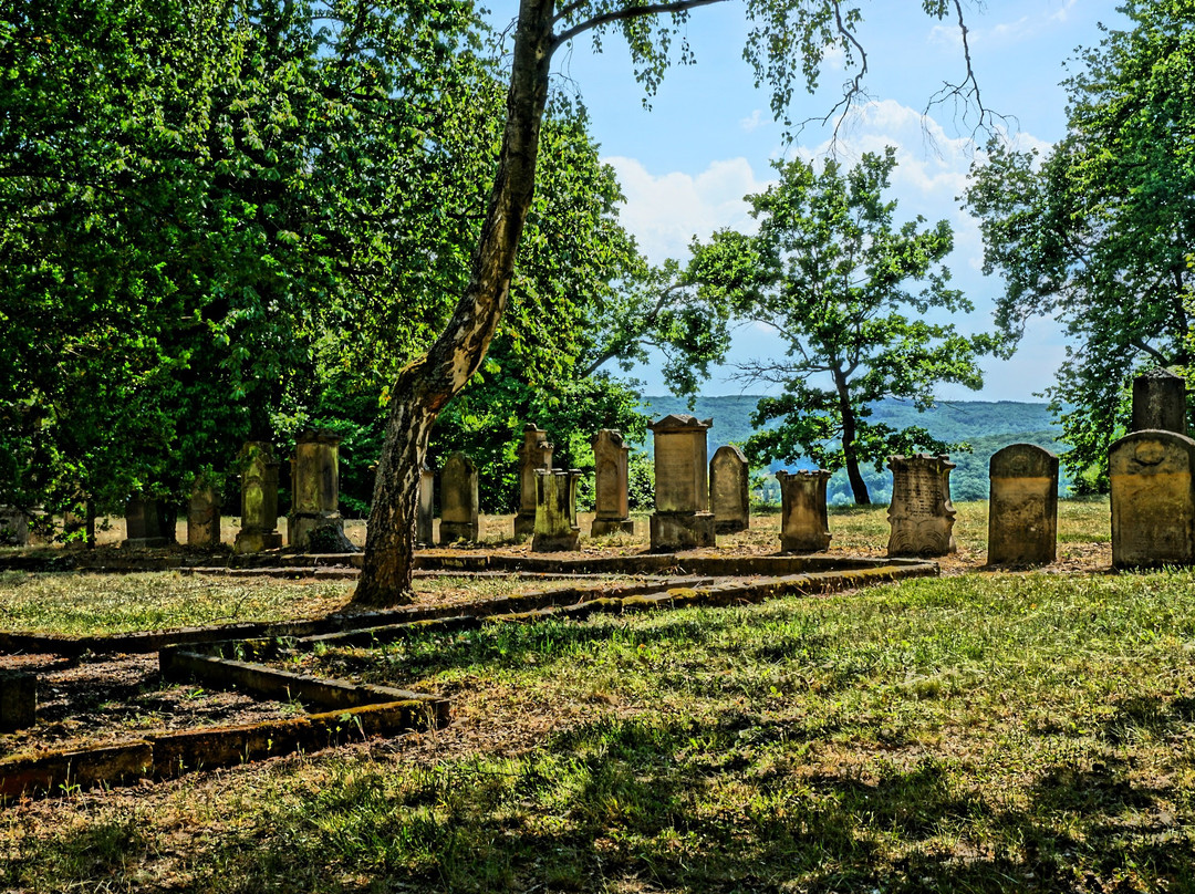 Judischer Friedhof auf dem Domberg景点图片