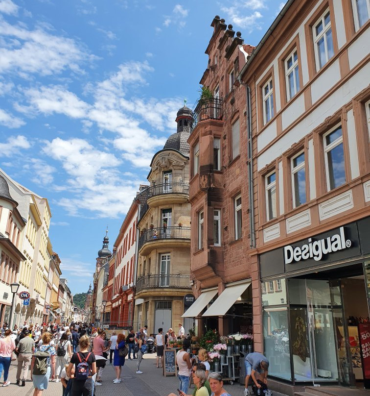 海德堡旧城区景点图片