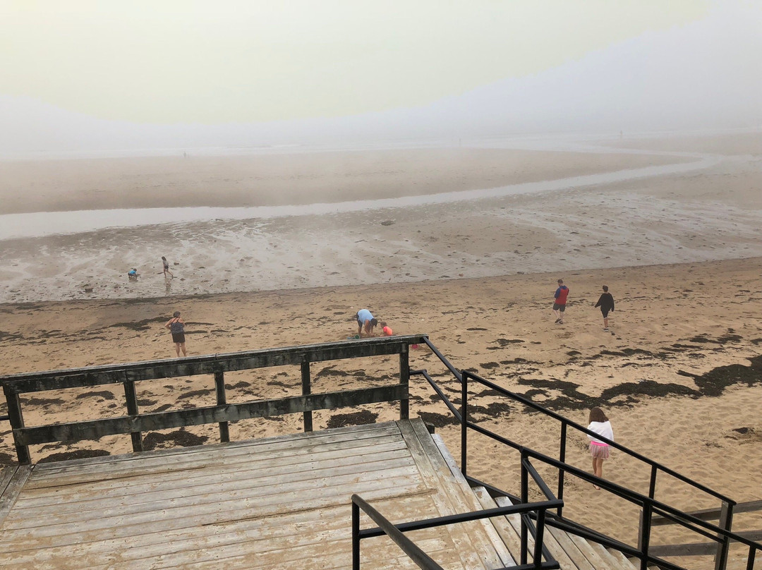 New River Beach Provincial Park景点图片