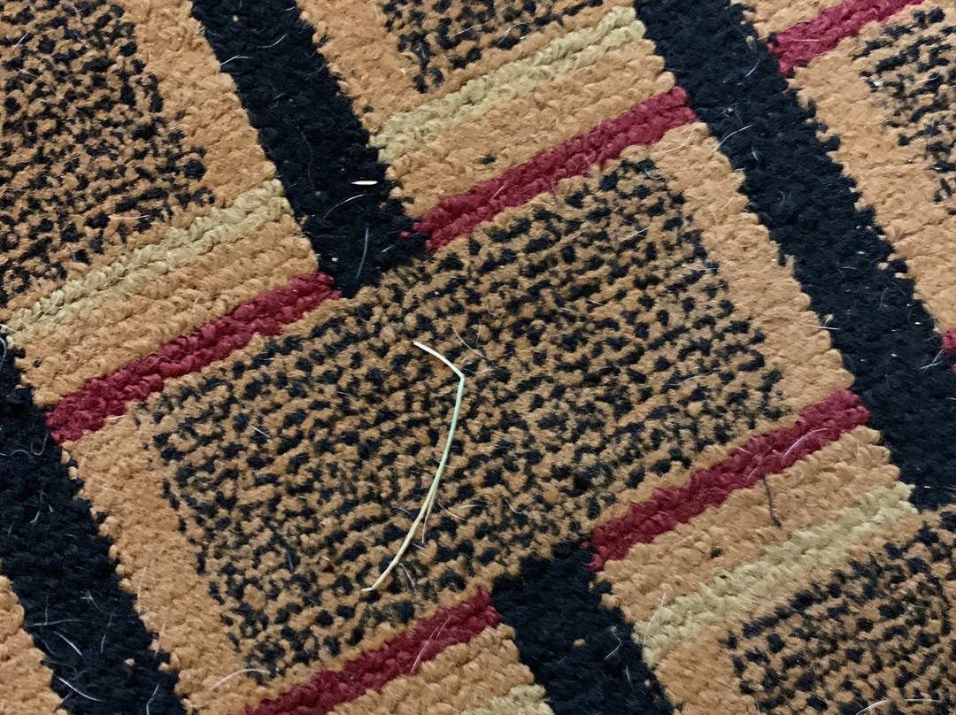 Days Inn by Wyndham Carthage主图