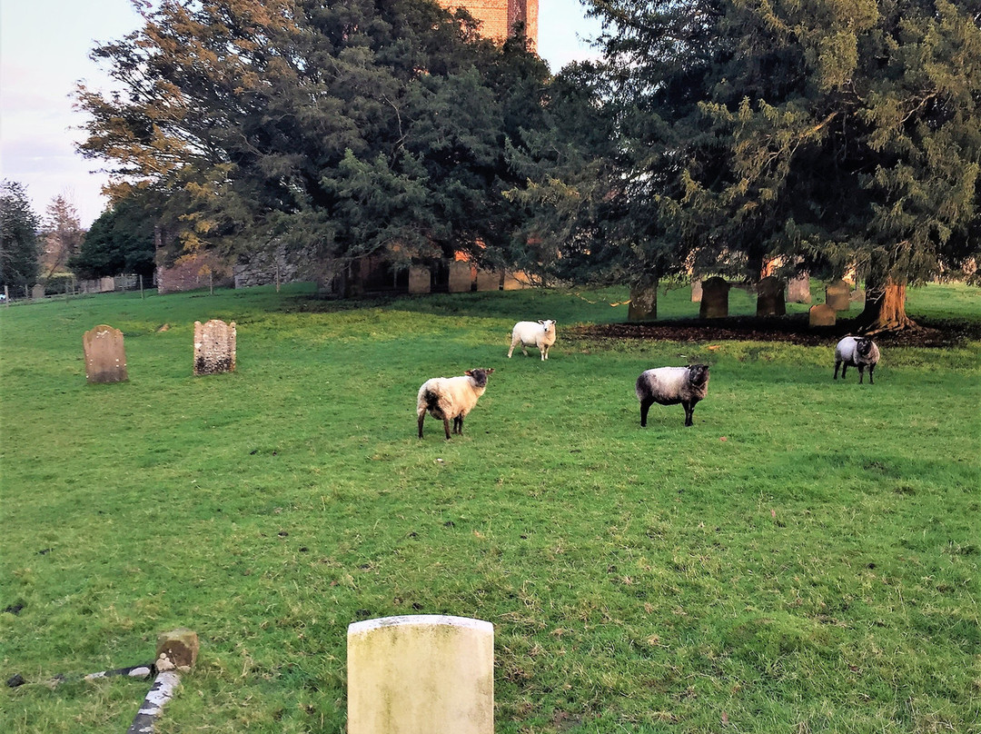Commonwealth War Grave, Warehorne-Warehorne必去景点