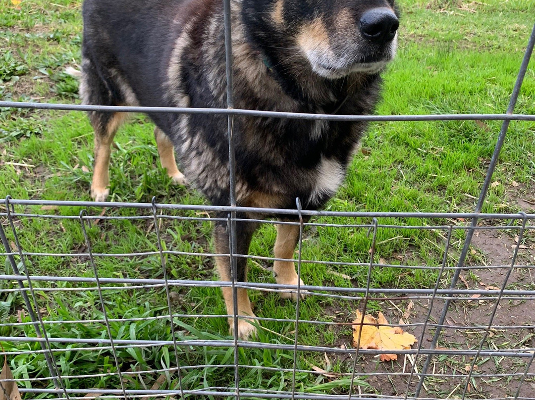 Breakaway Farmstay主图