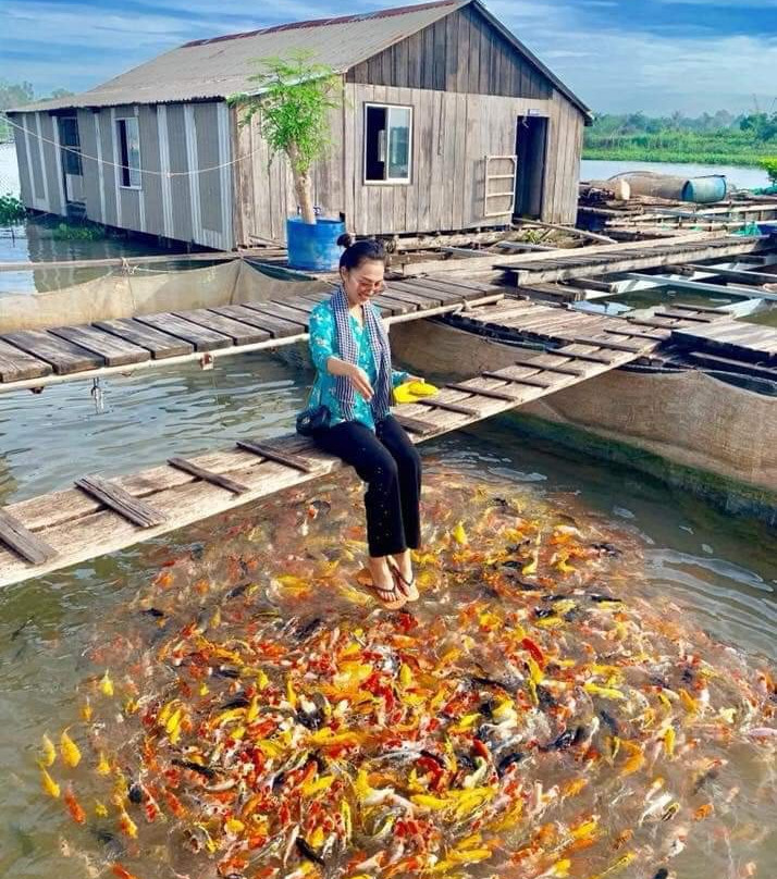 Snakehead Flying Fish-芹苴必去景点