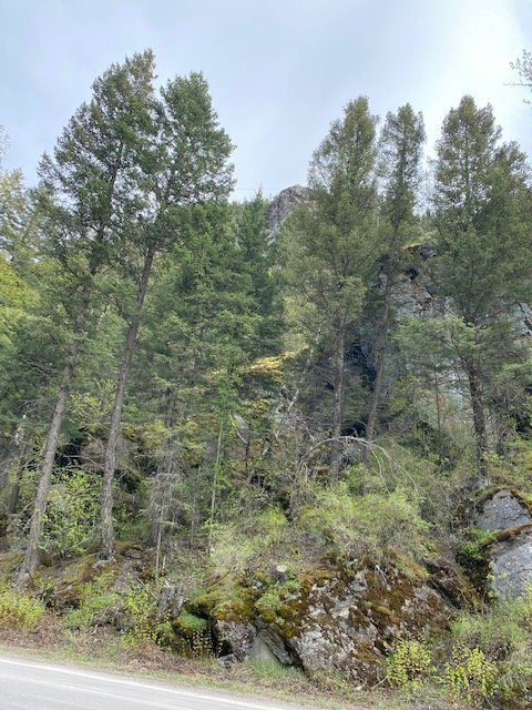 Bad Rock Canyon-Columbia Falls必去景点