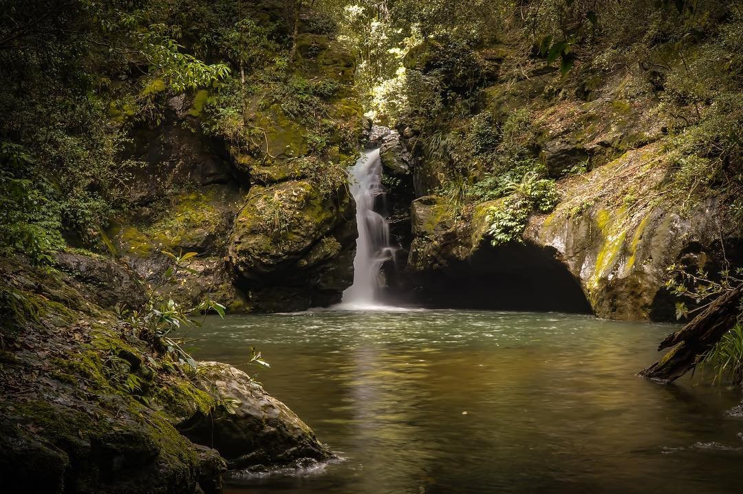 Tapin Tops National Park-Elands必去景点