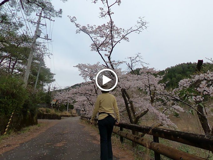 Yanase Maruyama Park-马路村必去景点