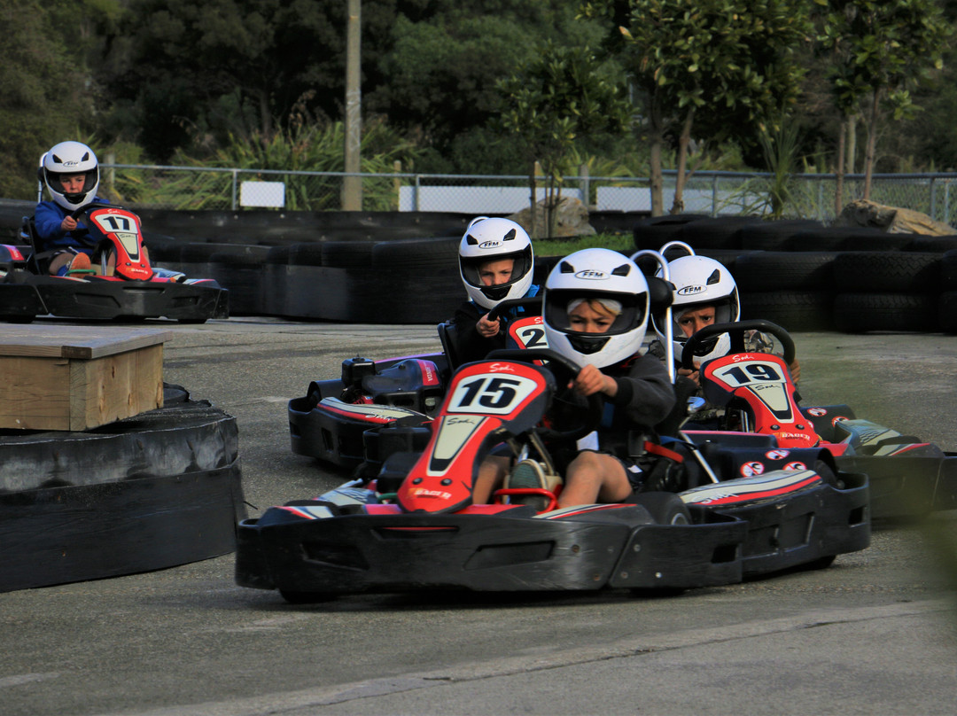 Pro Karts-尼尔森必去景点