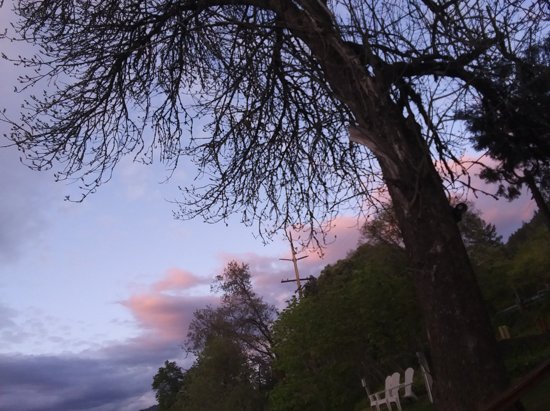 Bella Rosa Inn主图