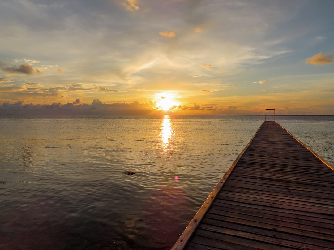 Moyo Island Resort主图