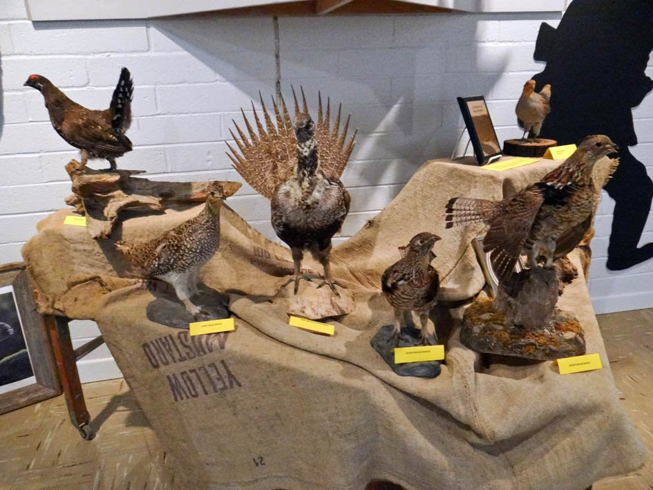 Etzikom Windmill Museum-Etzikom必去景点