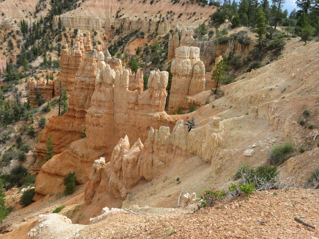 Fairyland Point-布莱斯峡谷国家公园必去景点