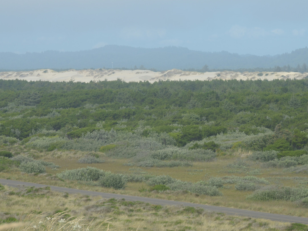 South Jetty County Park-弗洛伦斯必去景点