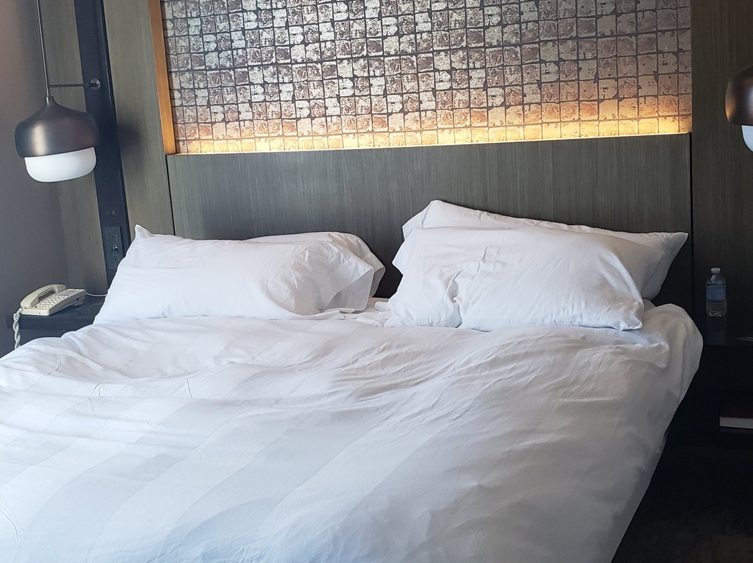 芝加哥西南布尔里奇万豪酒店主图