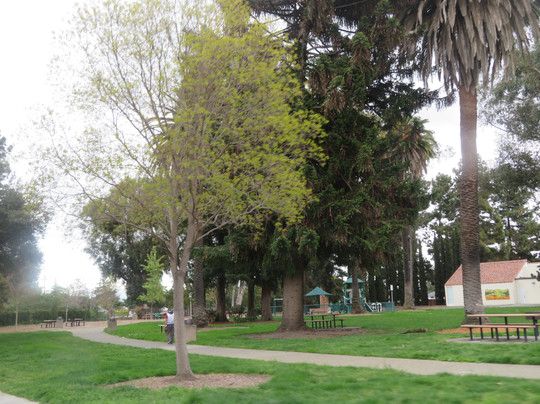 Martin Murphy Junior Park-森尼韦尔必去景点