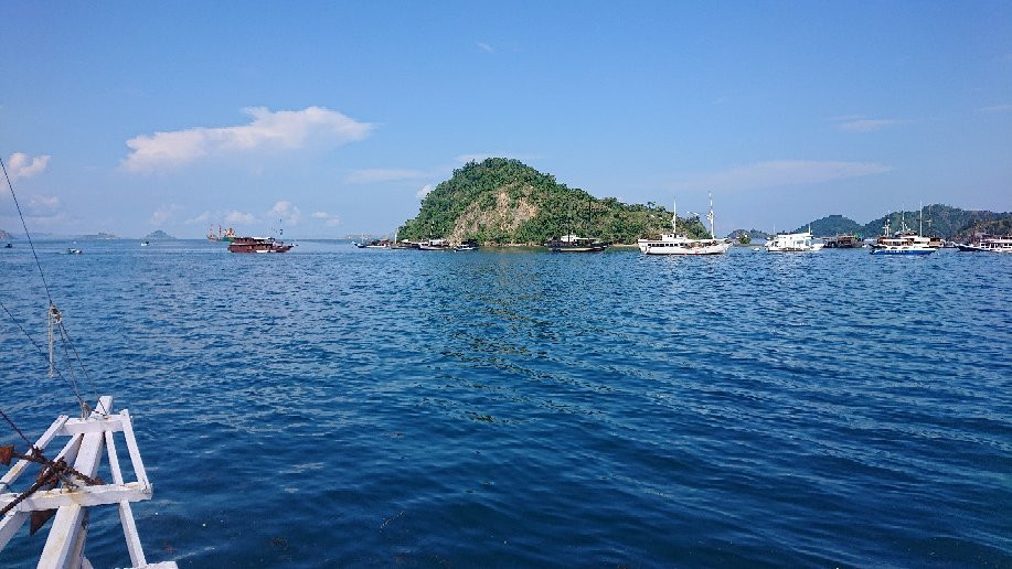 Komodo Mega Tours景点图片