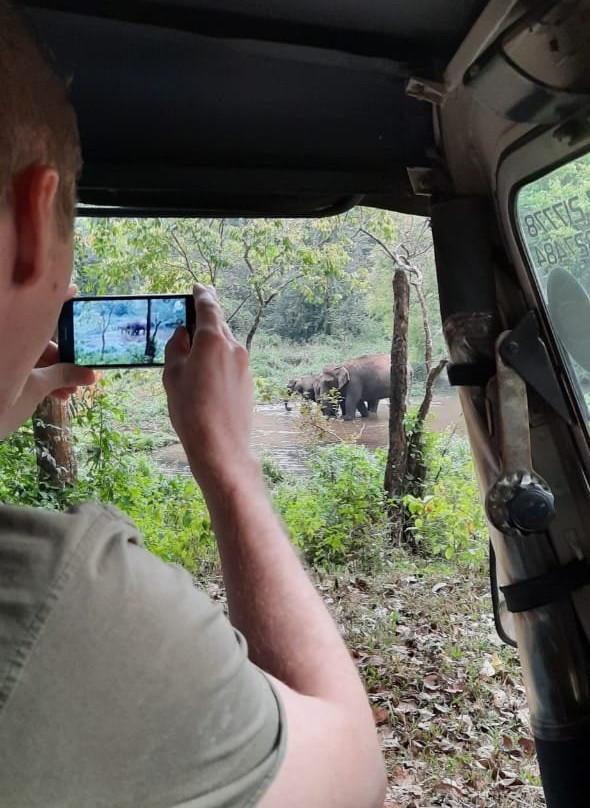 Gavi Forest-帖可迪必去景点