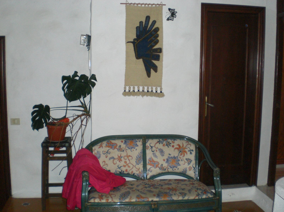 Raices Finca主图