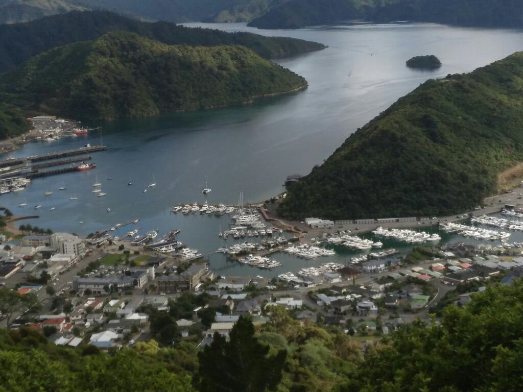 Tirohanga Track景点图片