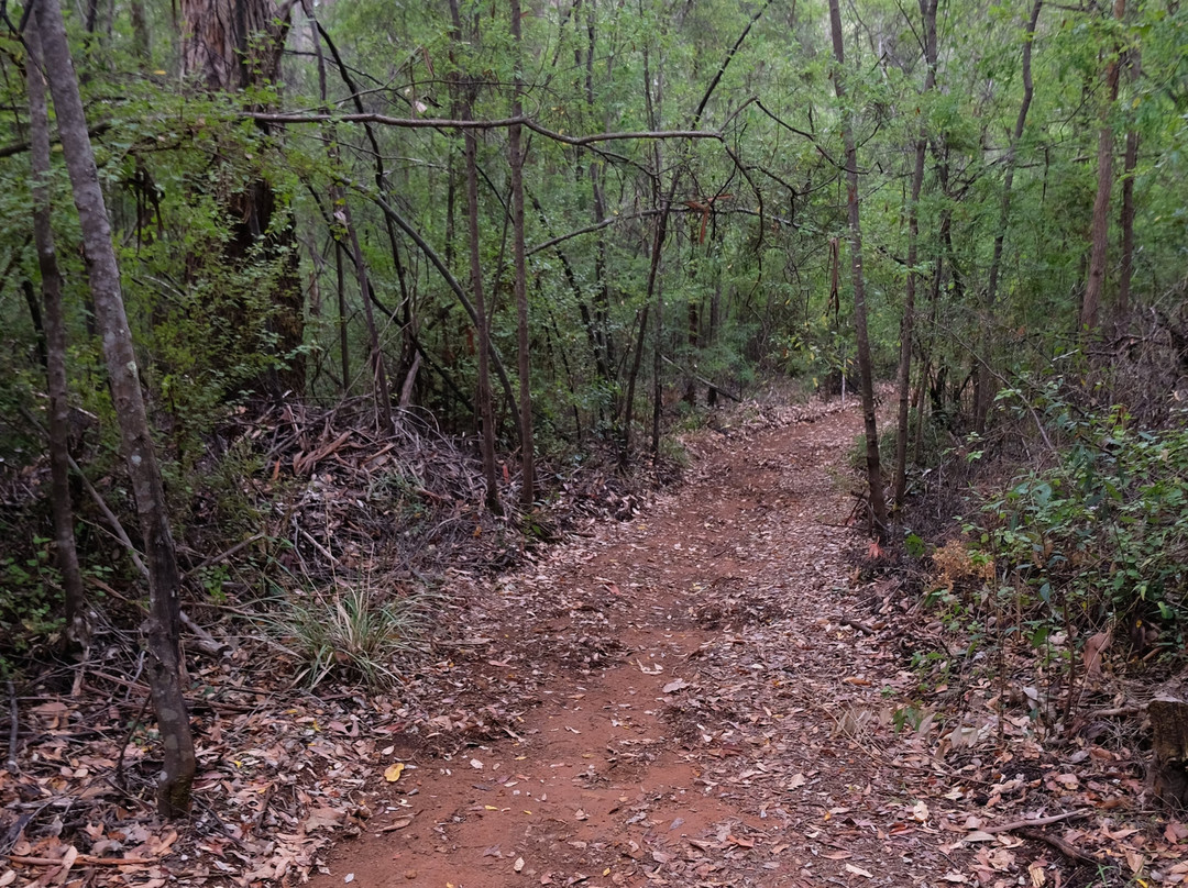 Greater Beedelup National Park-彭伯顿必去景点