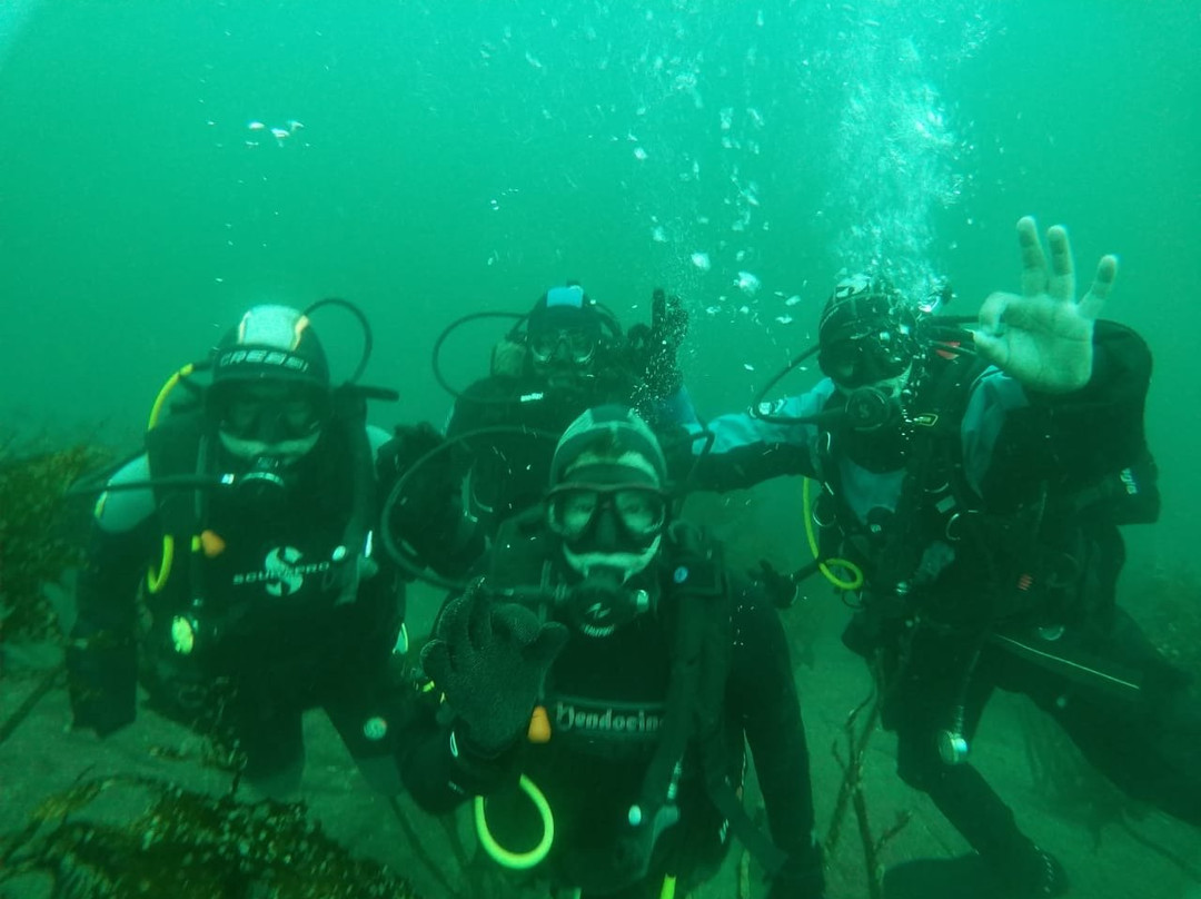 ExploraSub-Chanaral de Aceituno必去景点