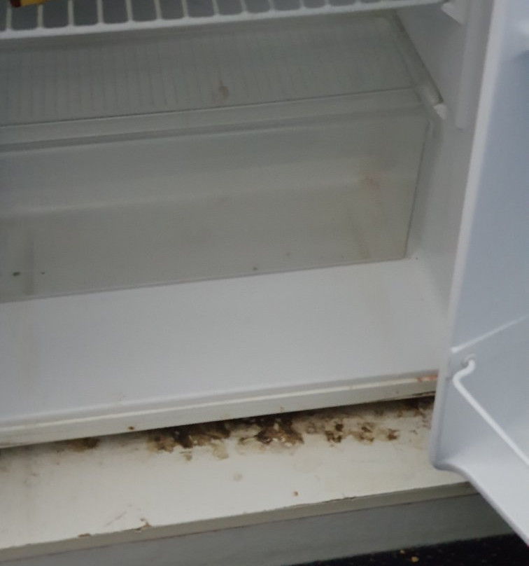 Kyamba Court Motel主图