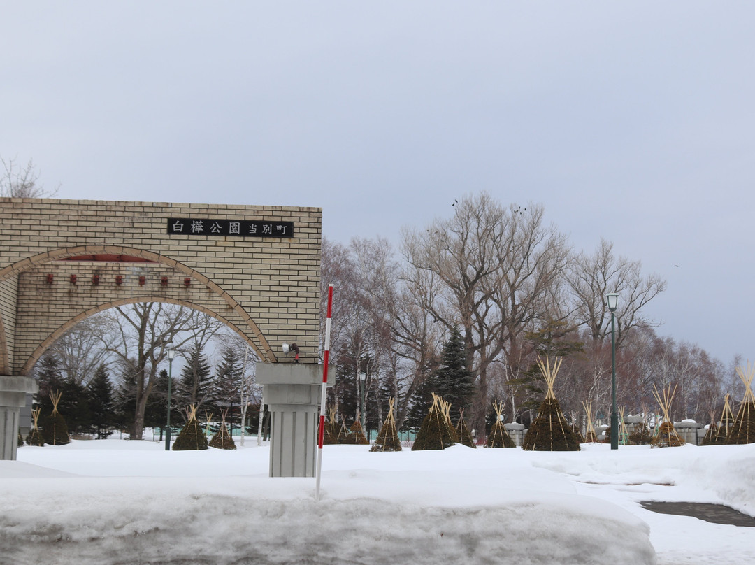 Shirakaba Park