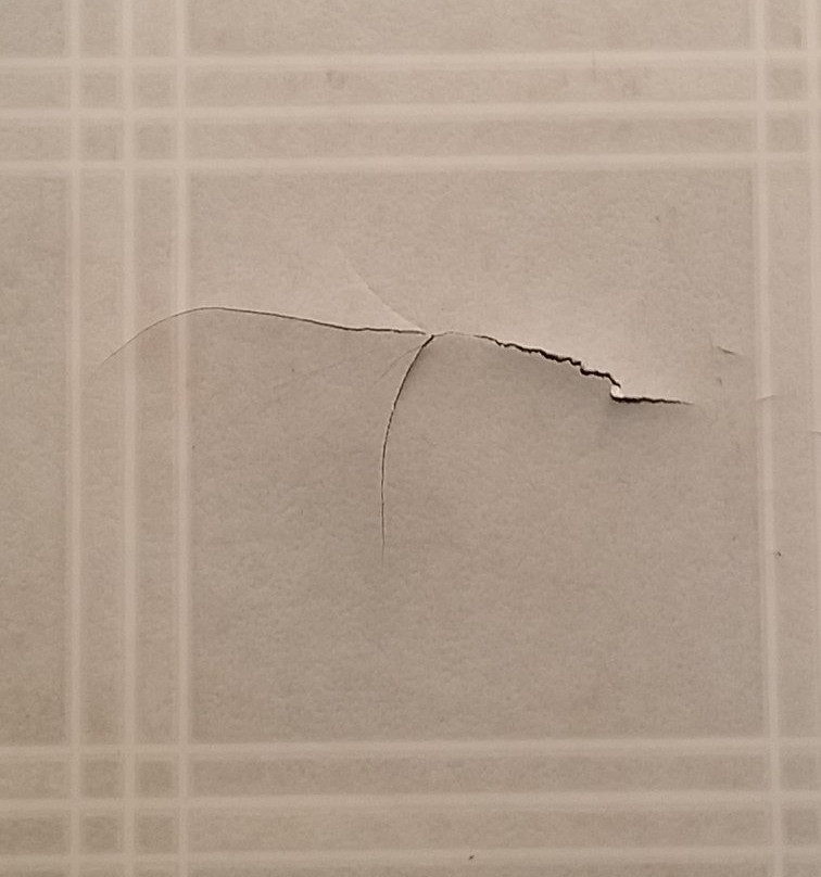 Shady Glade Resort主图