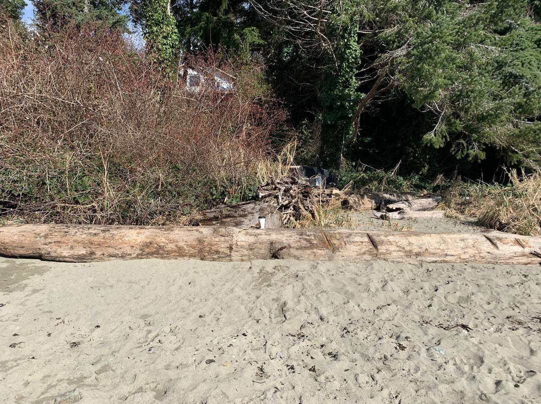 Self Realization Sevalight Centre for Pure Meditation Healing & Counselling主图