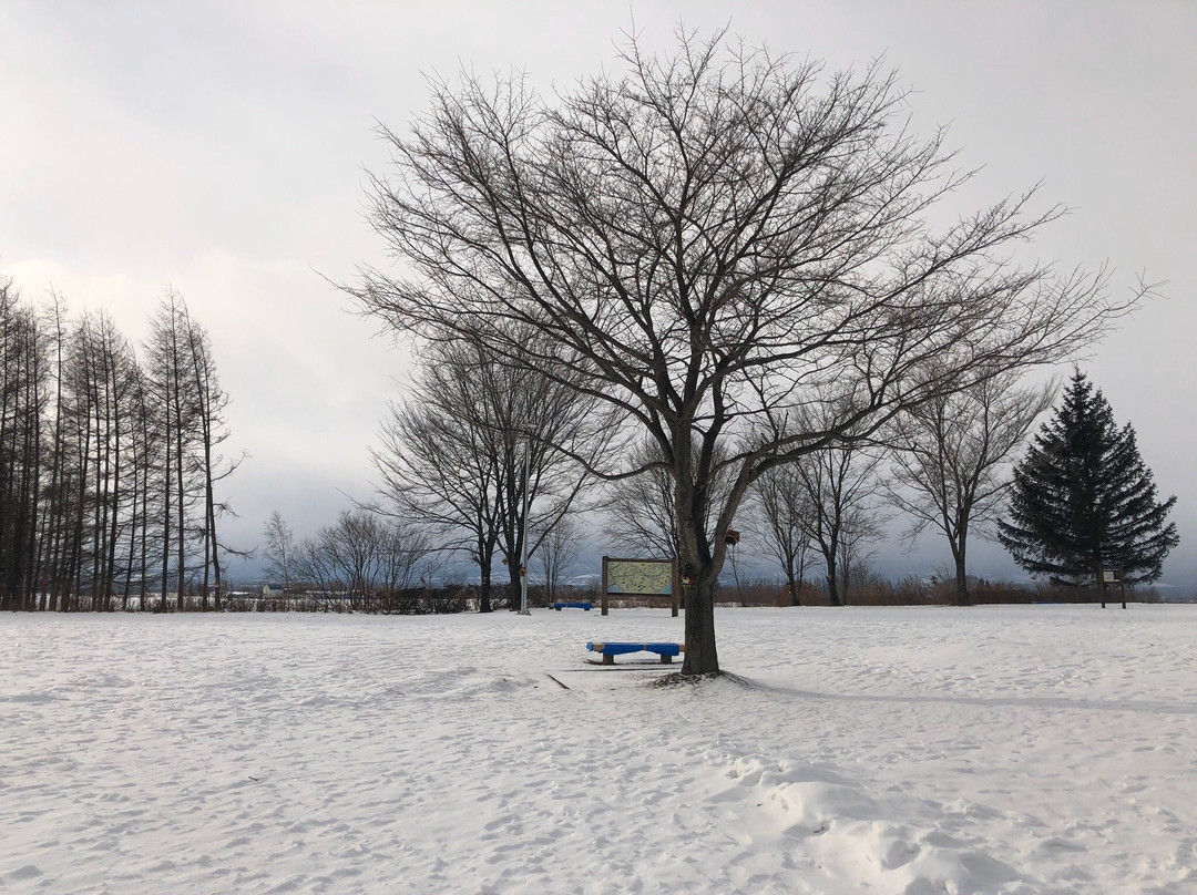 Tokachiheigen Service Area Inbound-芽室町必去景点