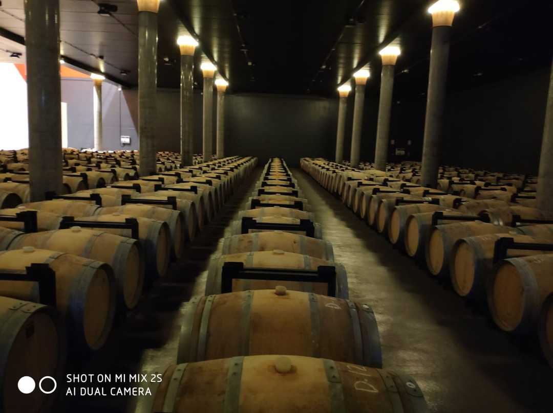 Bodegas Hacienda El Ternero-Ternero必去景点