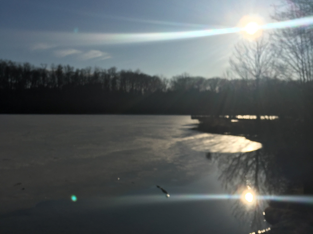 Silver Springs State Park-Yorkville必去景点