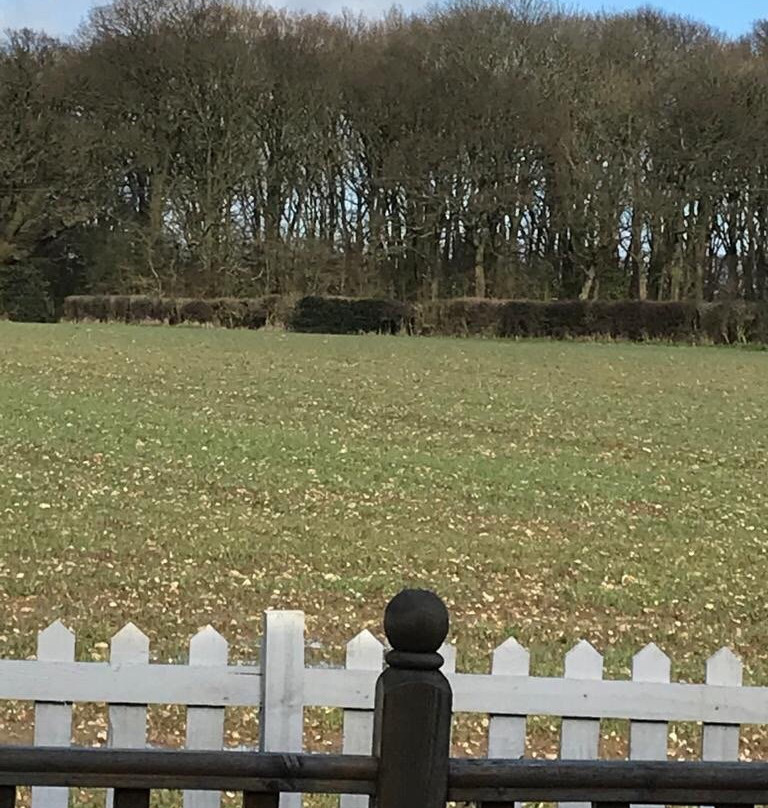 威廉国王酒店主图