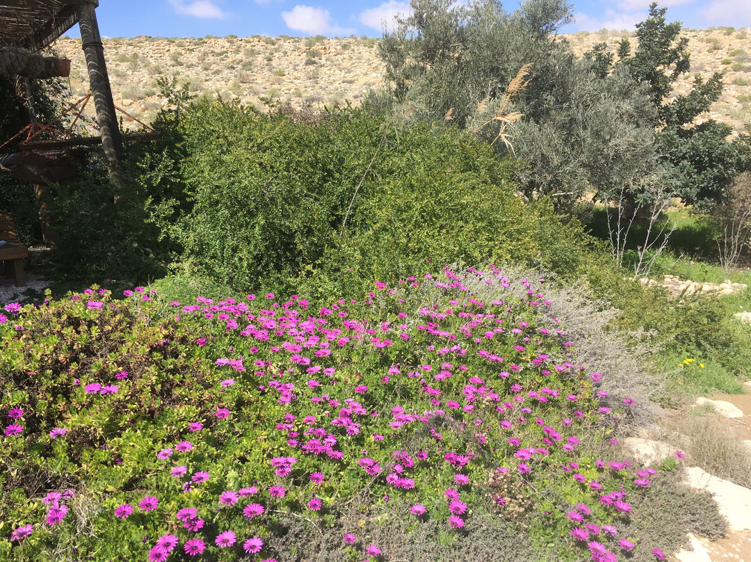 卡梅阿沃达特农场酒店主图