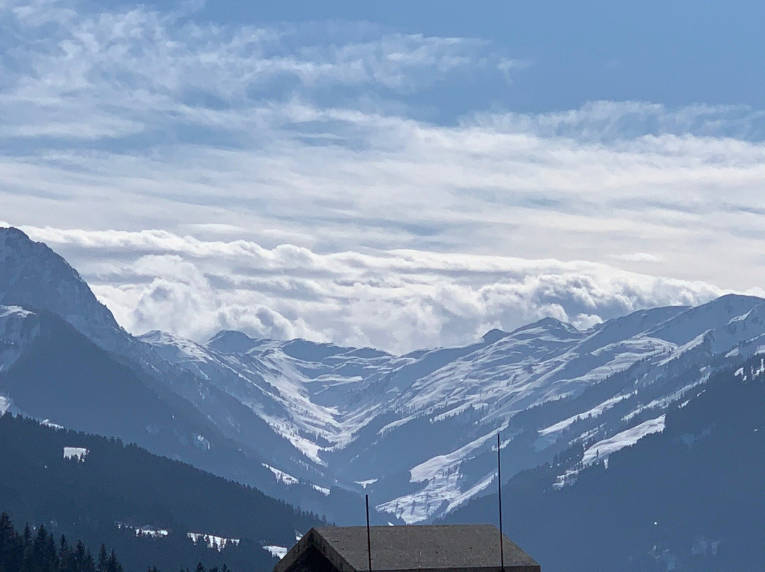 Maierl-Alm und Chalets主图