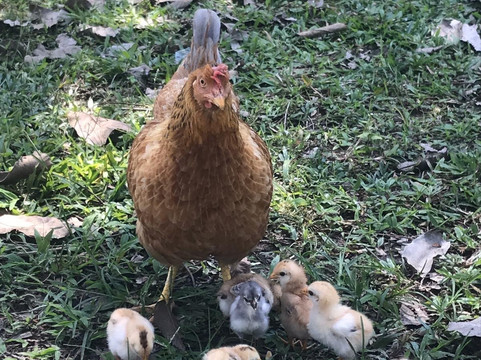 Adventure Journey-顺化必去景点