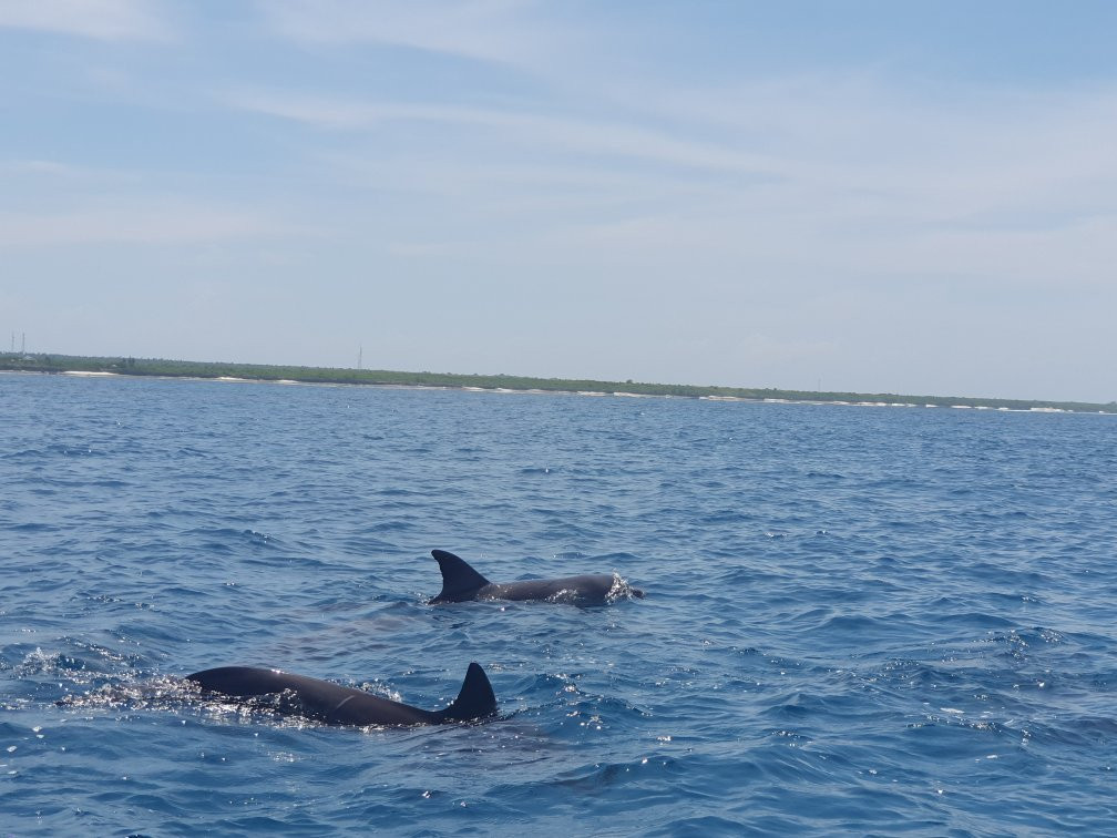 Nungwi Aquarium Adventures-孥归必去景点