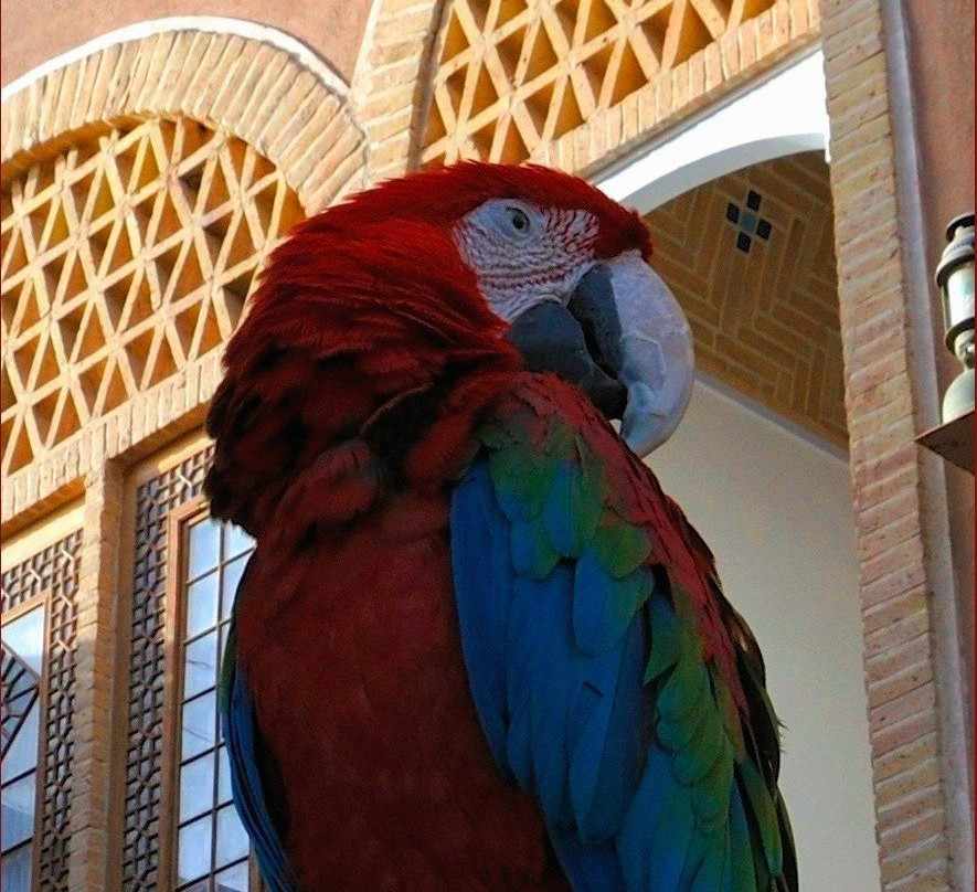 Moshir al-Mamalek Garden Hotel主图