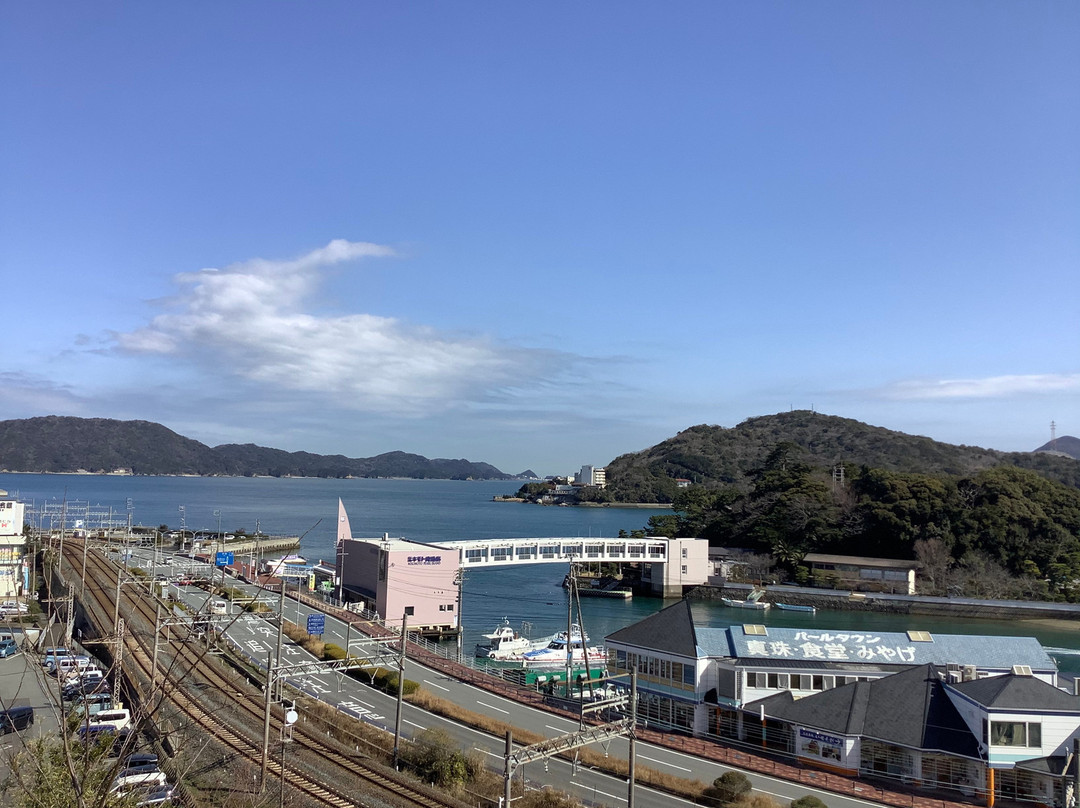 Shiroyama Park景点图片