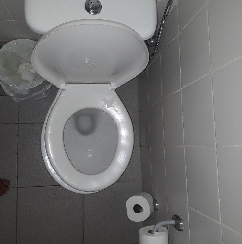 宜必思巴雷图斯酒店主图