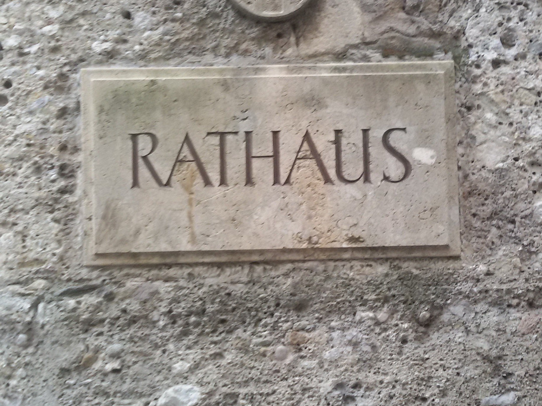 Old City Hall (Altes Rathaus)-萨尔茨堡必去景点
