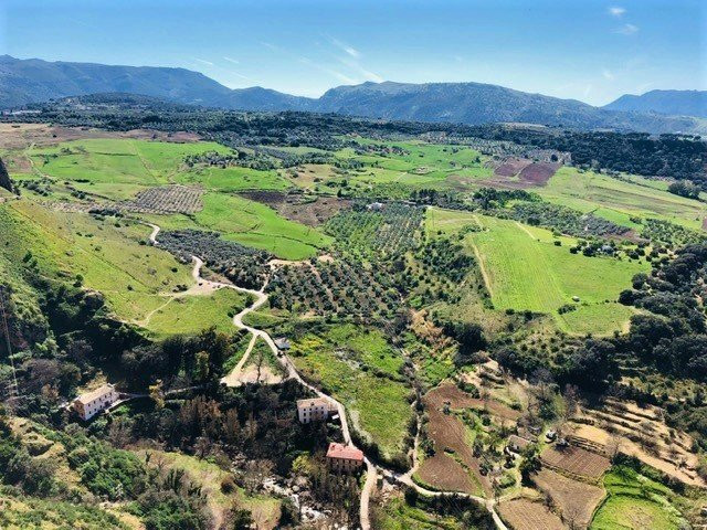 Mirador Paseo Blas Infante景点图片